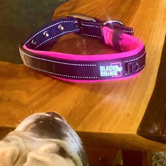 NWOT Black Rhino dog collar. Size Medium. Black and Pink color. - Picture 1 of 9